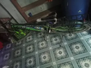 রানিং সাইকেল