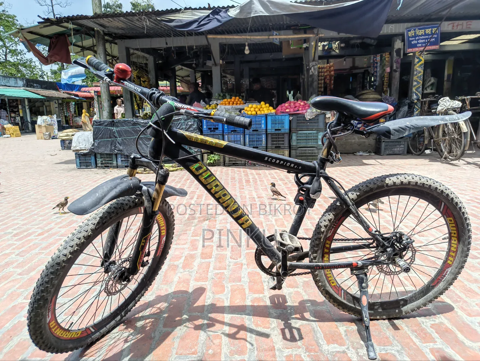 Mountain Bike For Sale