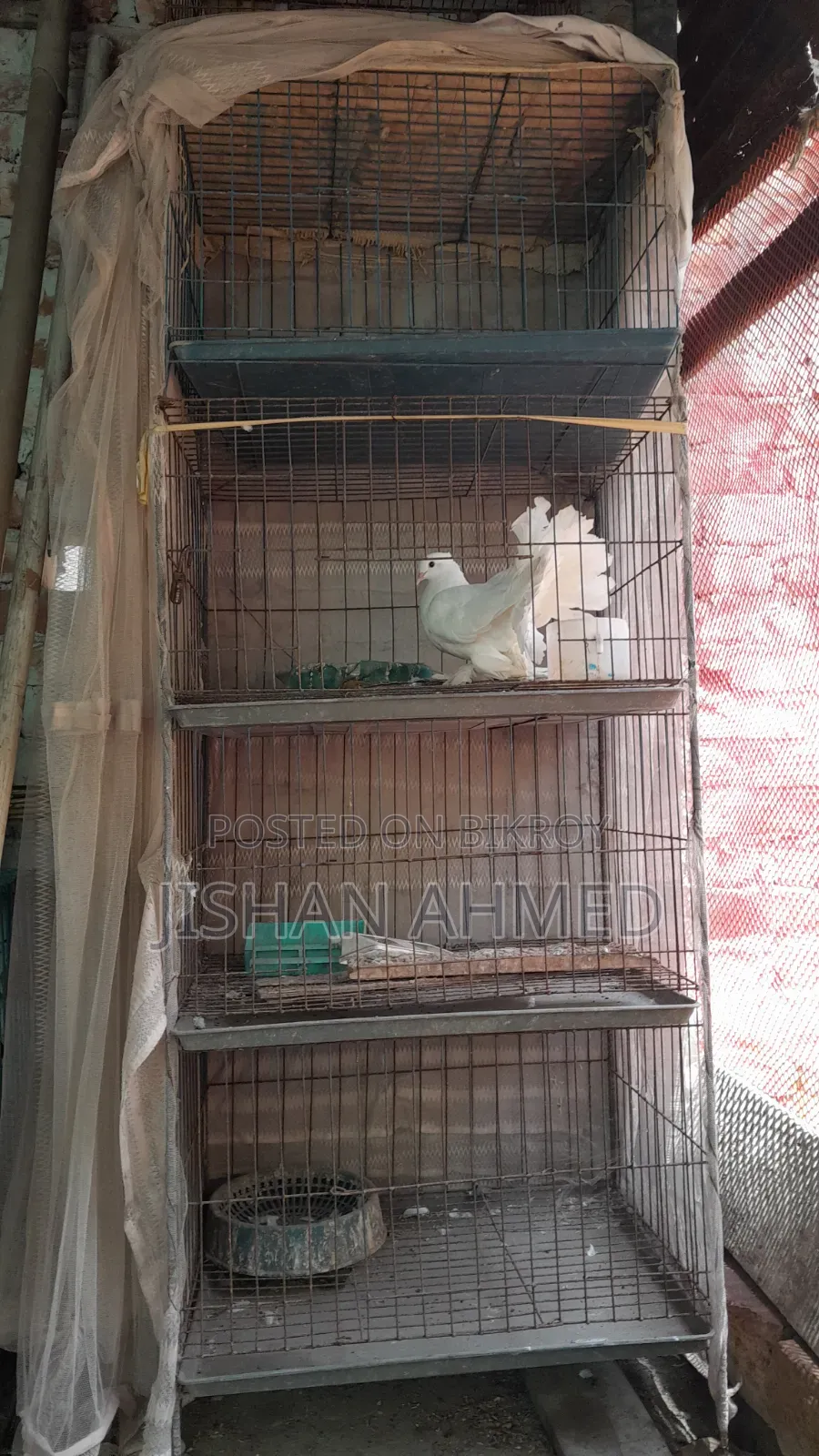 Four Compartment Cage Fully Fresh