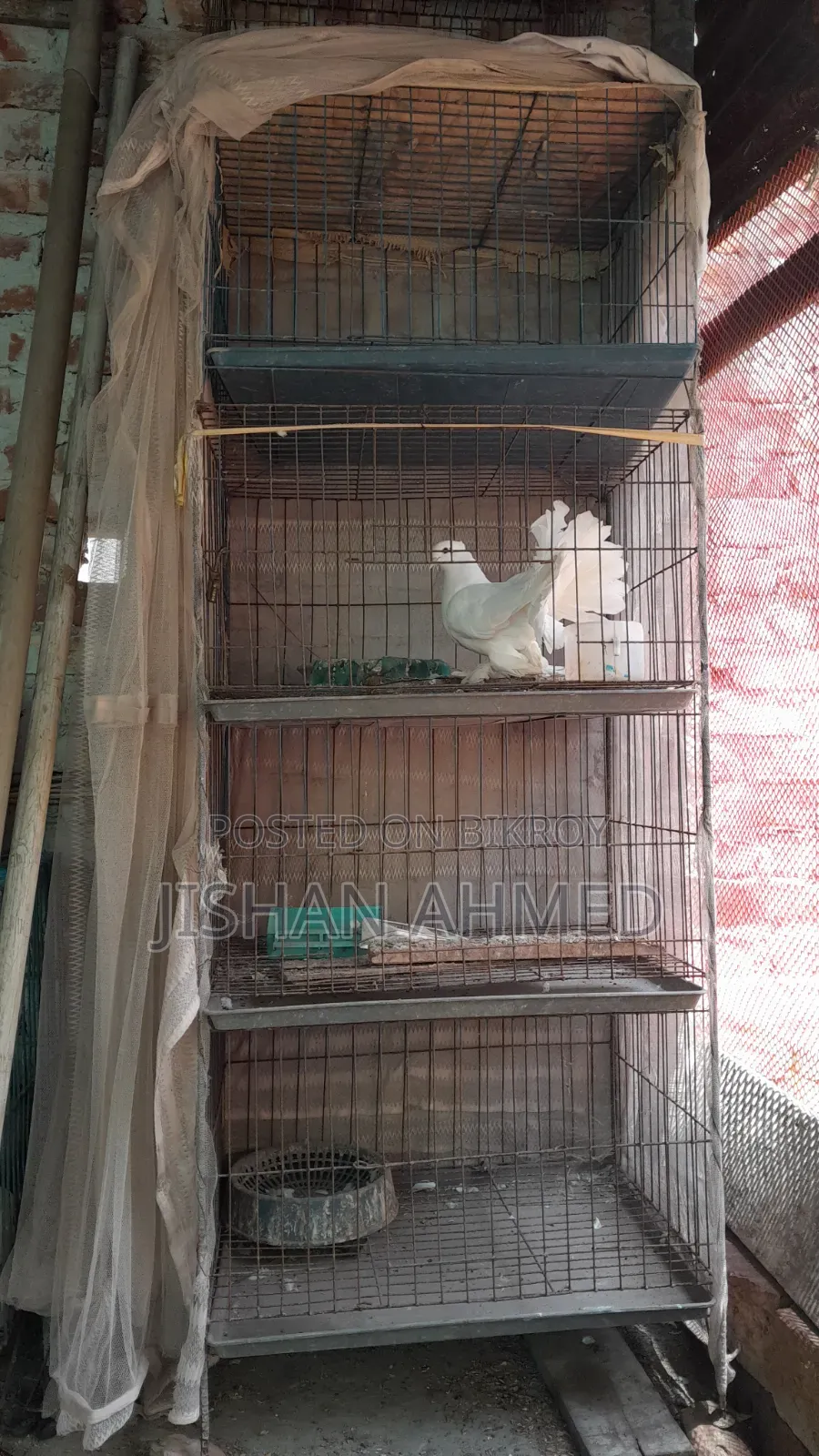 Four Compartment Cage Fully Fresh