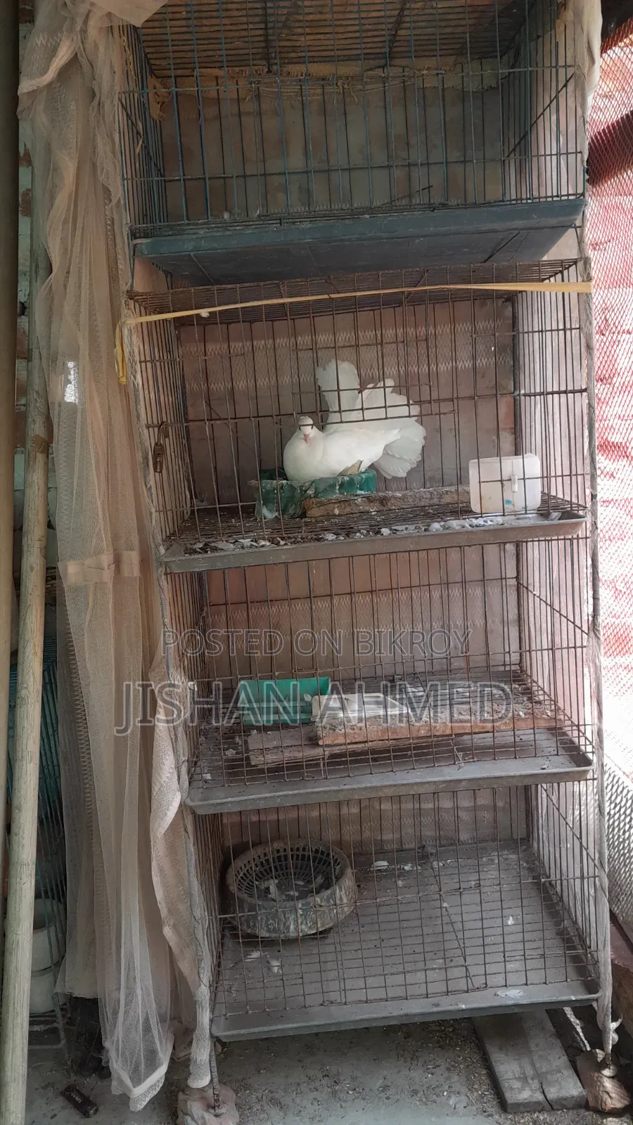 Four Compartment Cage Fully Fresh