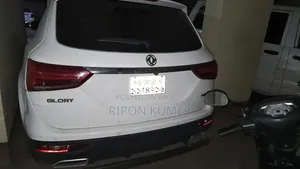 DFSK গ্লোরি ৫৮০ ২০১৯ পার্ল