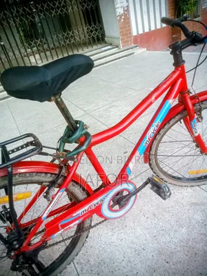 Running Cycle