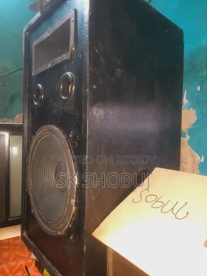 12 Inch Sound Box