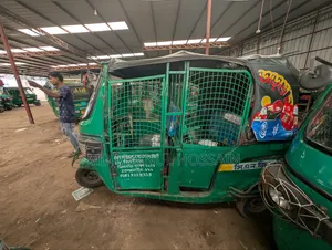 TVS King 2018 Green