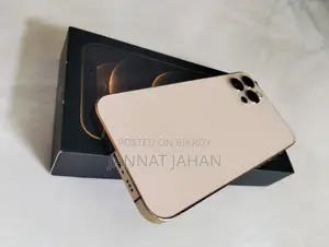 অ্যাপল আইফোন ১২ প্রো ২৫৬ জিবি রোজ গোল্ড