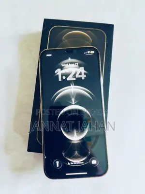 অ্যাপল আইফোন ১২ প্রো ২৫৬ জিবি রোজ গোল্ড