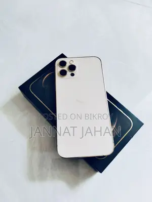 অ্যাপল আইফোন ১২ প্রো ২৫৬ জিবি রোজ গোল্ড