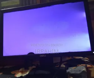 Dell Monitor,