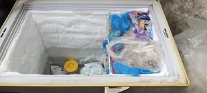 Used Deep Fridge