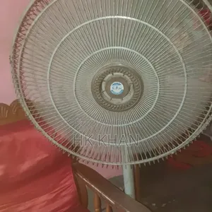 পাকিস্হানি জিএফসি ফ্যান