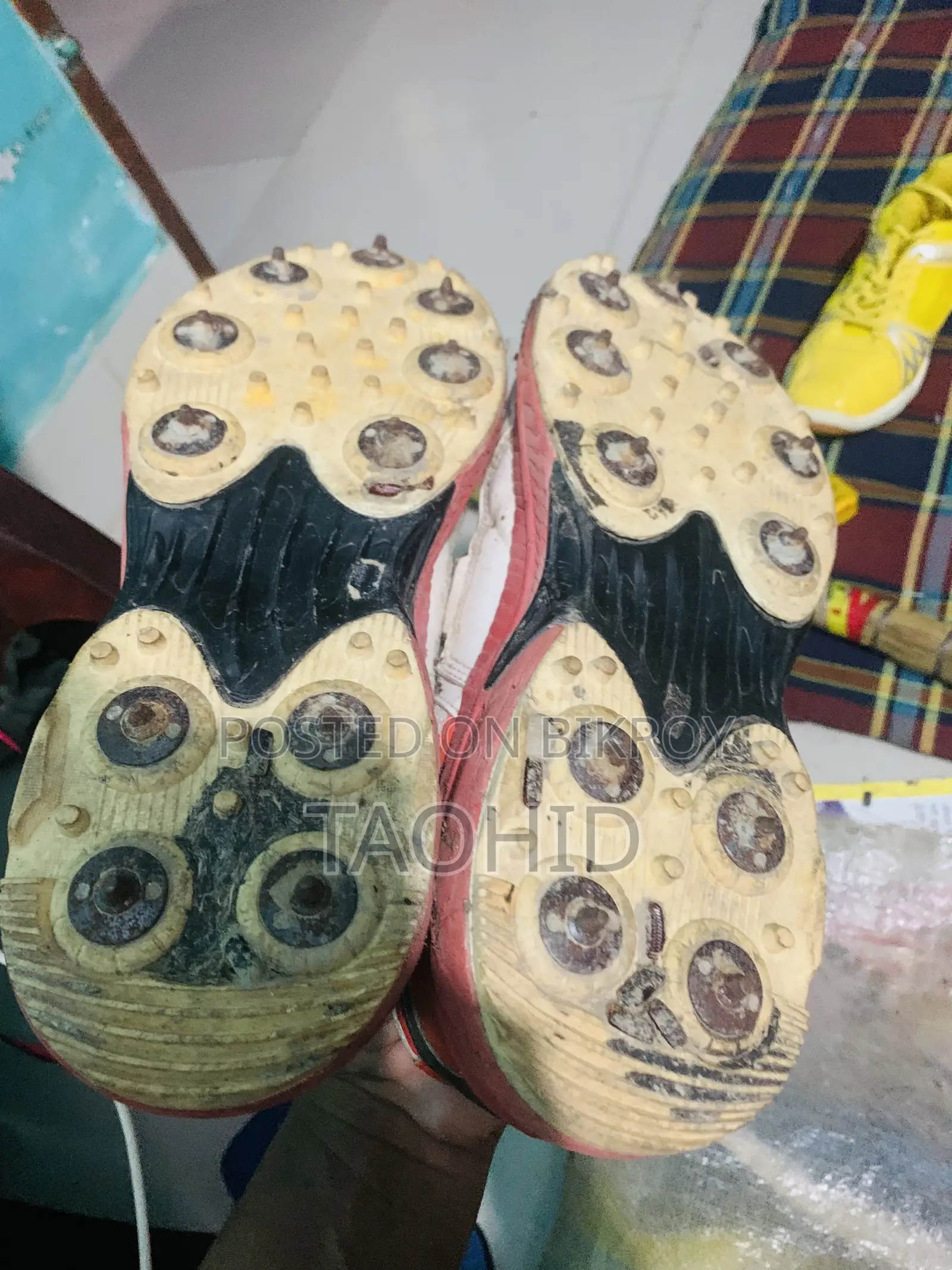 Cricket Spike Shoes