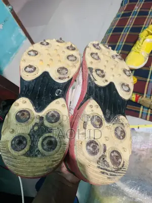 Cricket Spike Shoes