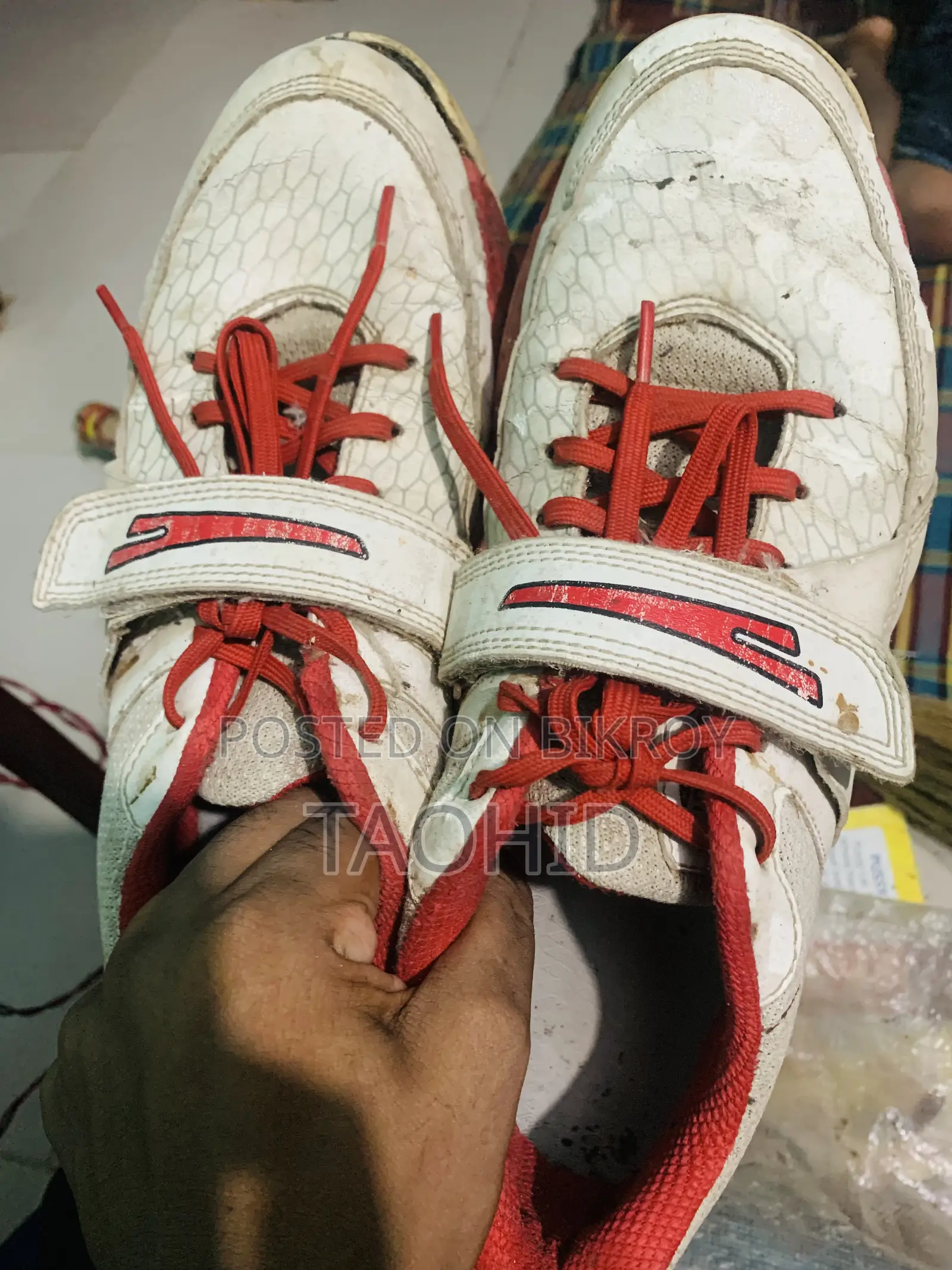 Cricket Spike Shoes