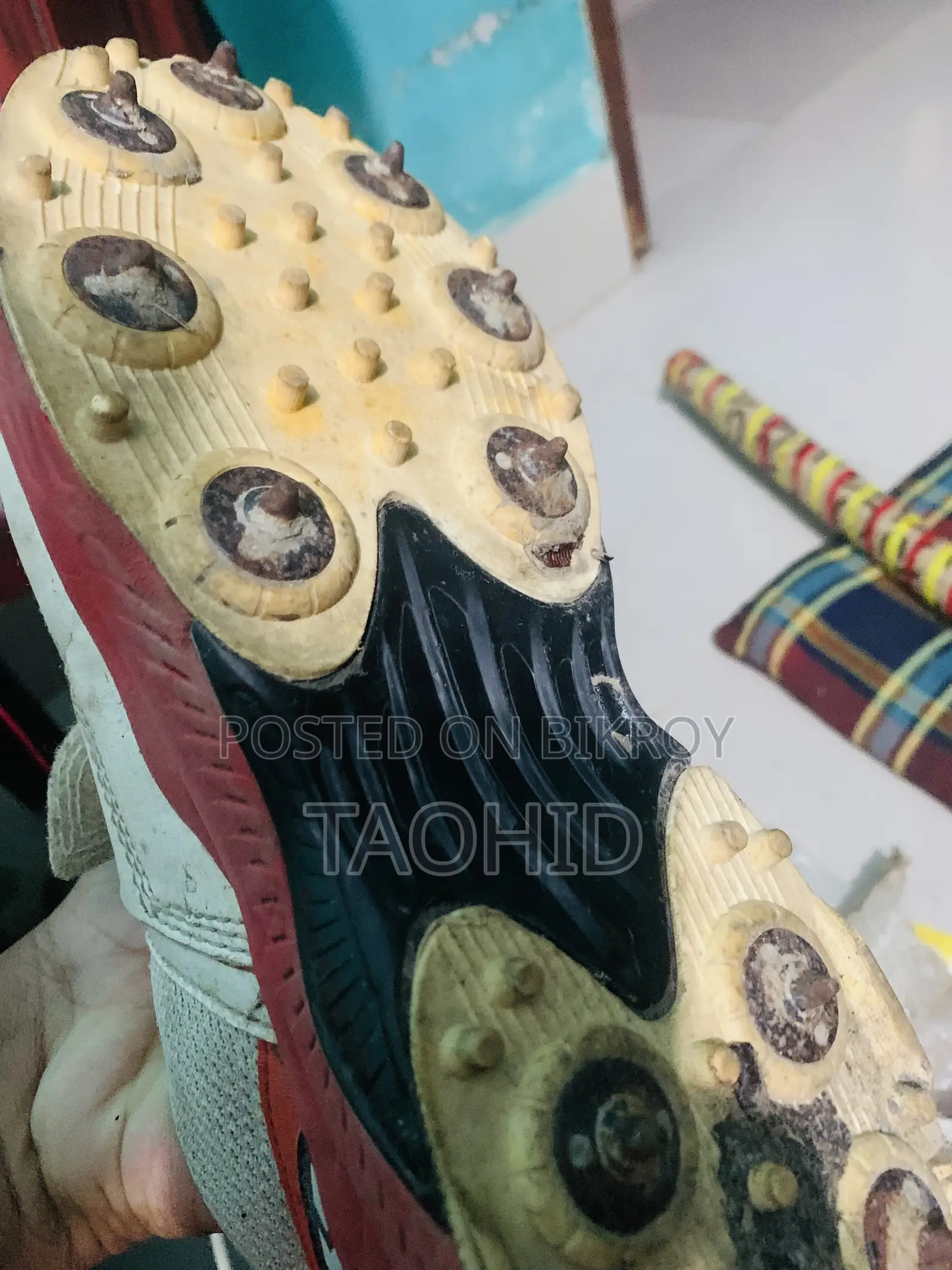 Cricket Spike Shoes