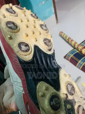 Cricket Spike Shoes
