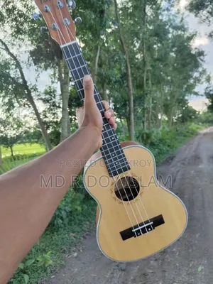 Ukulele Guitar