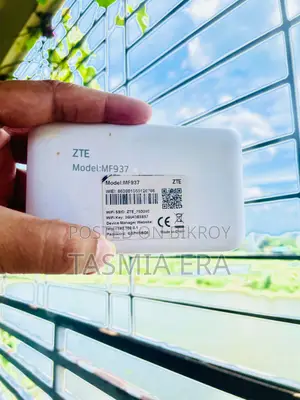 GP ZTE 4G Pocket Router