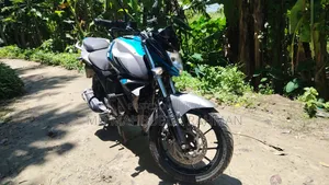 Yamaha FZS V2 2025 Gray