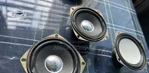 Dual Magnet Speaker FY-4H