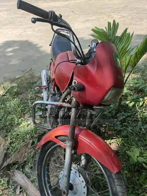 Hero Splendor 110 2010 Red