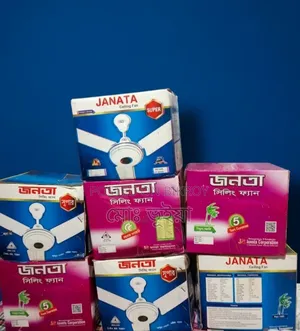 Ceiling Fan for Sale