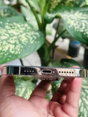 অ্যাপল আইফোন ১৩ প্রো ম্যাক্স ১২৮ জিবি গোল্ড