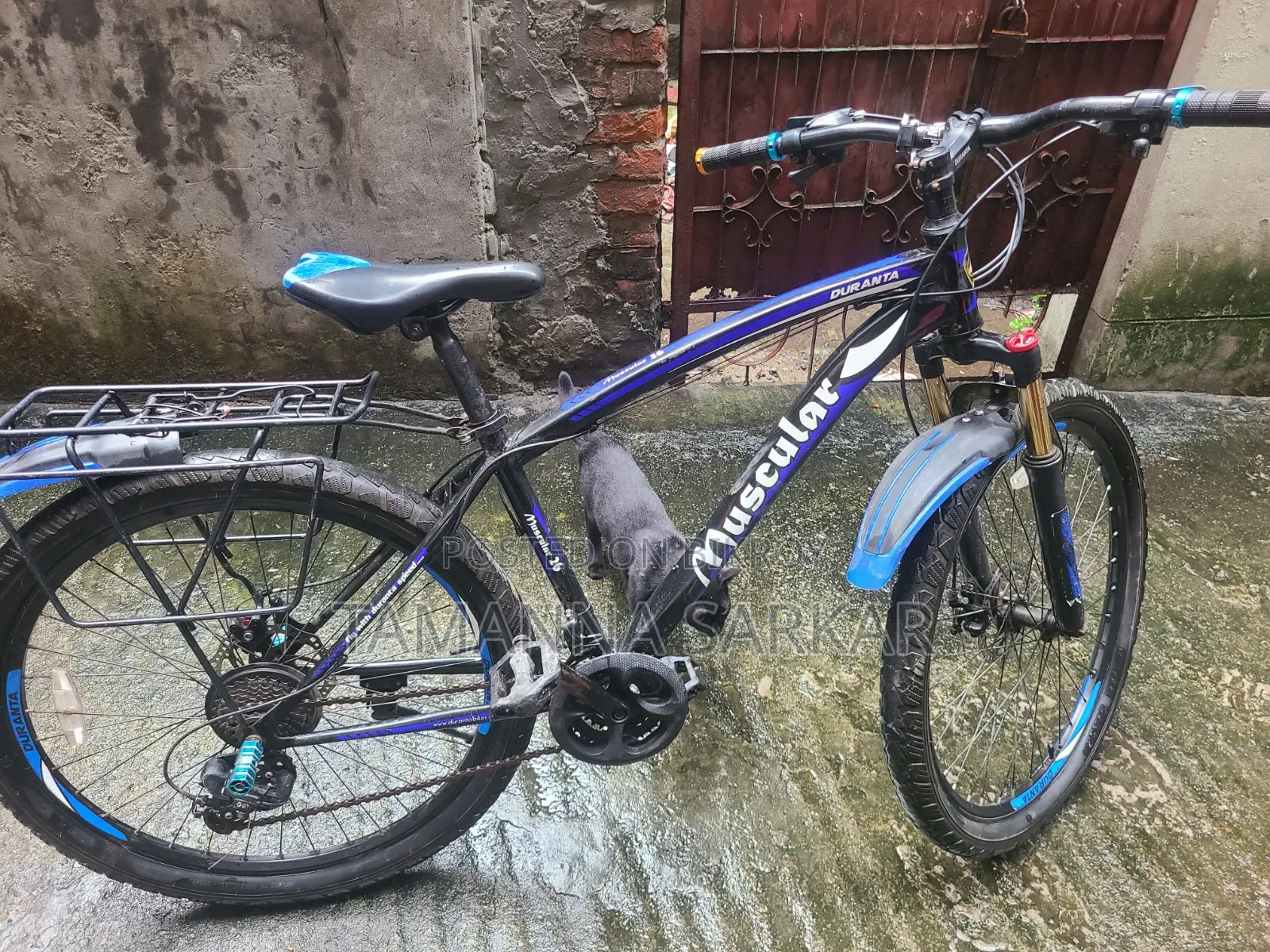 Fast Cycle