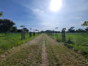 জমির পরিমাণ / প্লট বিক্রয়