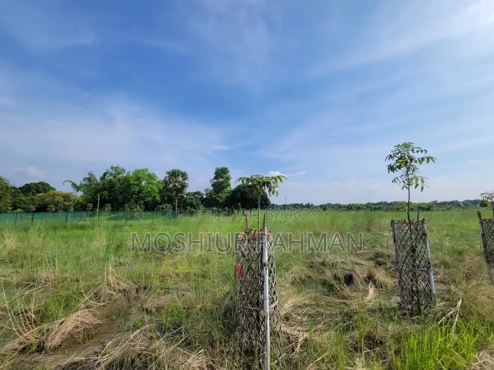 জমির পরিমাণ / প্লট বিক্রয়