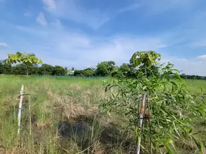 জমির পরিমাণ / প্লট বিক্রয়