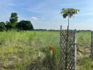 জমির পরিমাণ / প্লট বিক্রয়