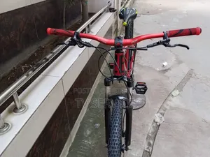 Cycle Cycle