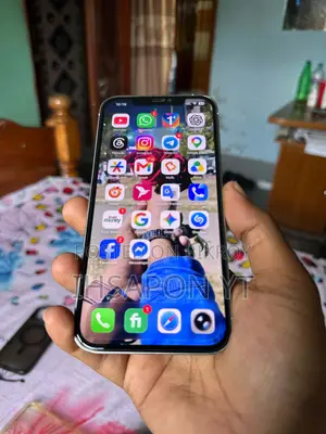 Apple iPhone 12 Pro Max 256 GB Silver