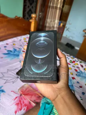 Apple iPhone 12 Pro Max 256 GB Silver