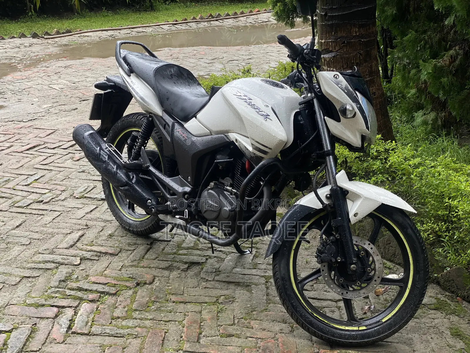 হিরো হাংক ২০১৯ সাদা