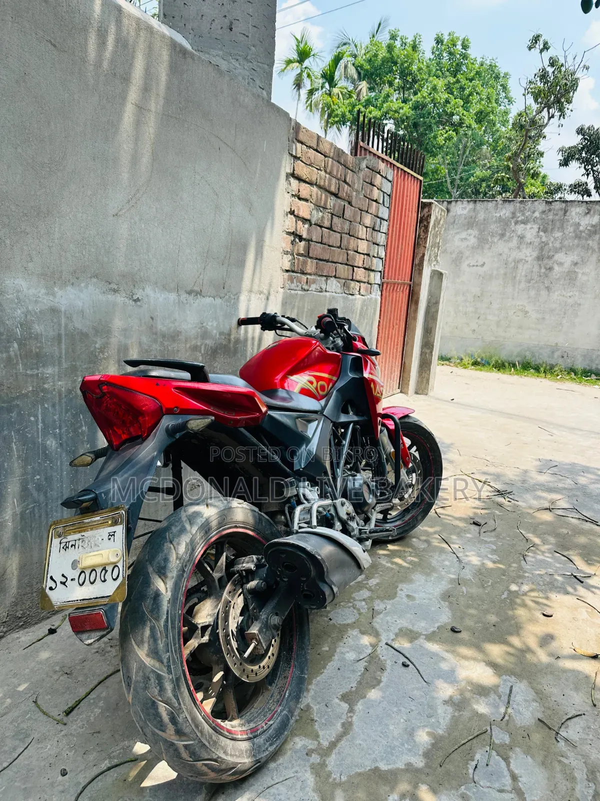 Roadmaster Rapido 165 2018 Red