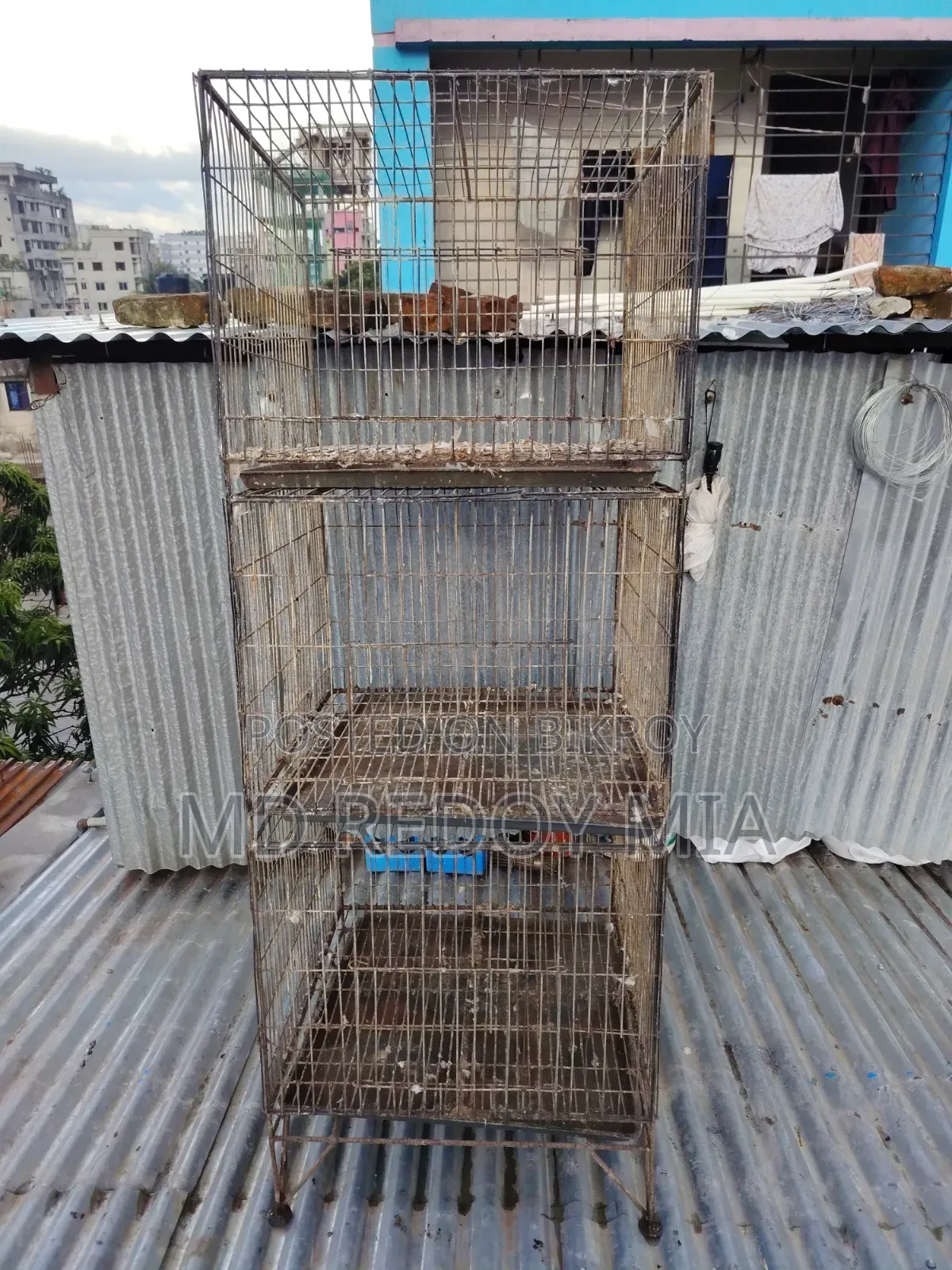 24"x24" Pigeon Cage with Three Compartments