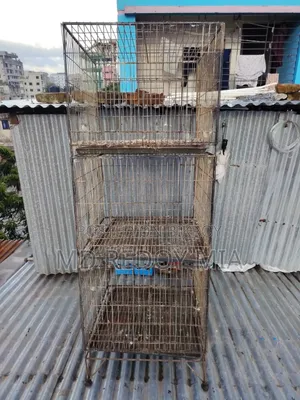 24"x24" Pigeon Cage with Three Compartments