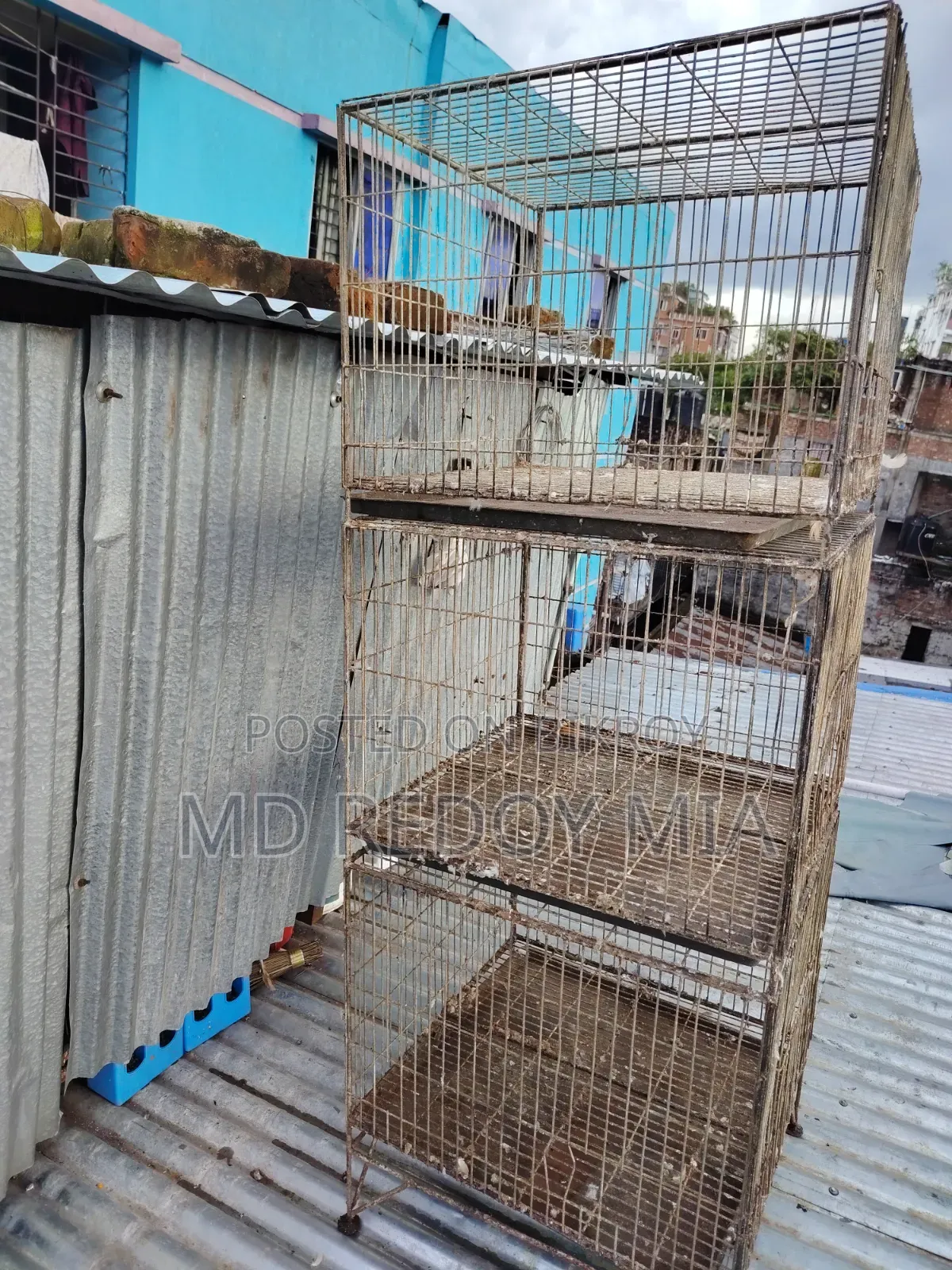 24"x24" Pigeon Cage with Three Compartments