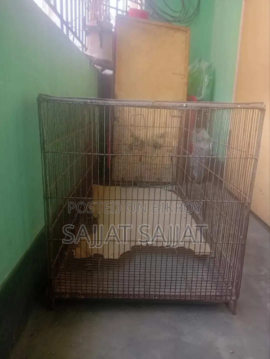 Pigeon ( Cage )