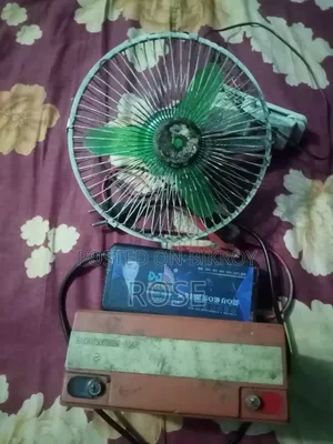 12v Battery Charger and De Fan