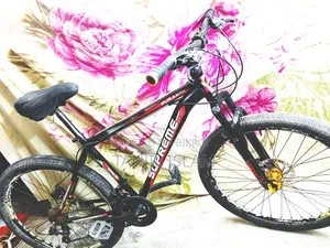 দূরন্ত সাইকেল