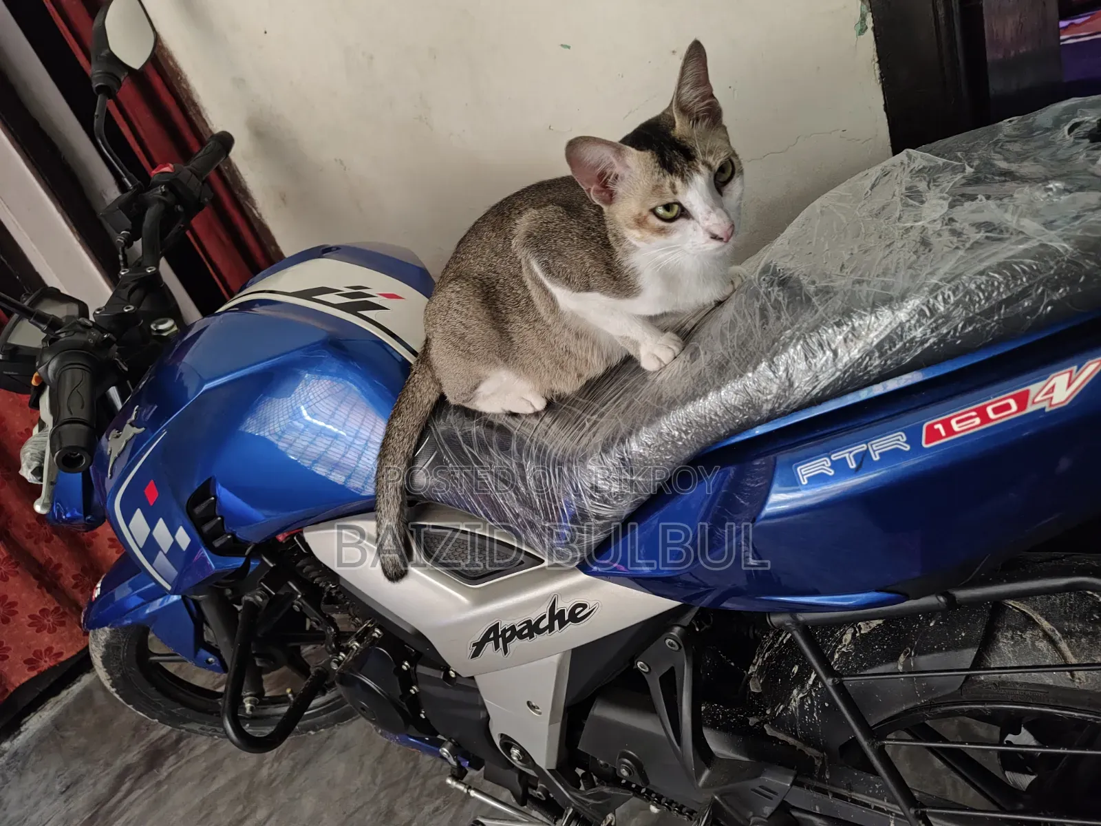 TVS Apache RTR 160 4V 2024 Blue