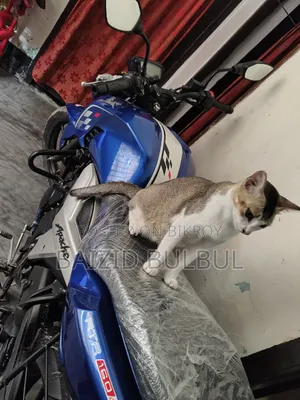 TVS Apache RTR 160 4V 2024 Blue