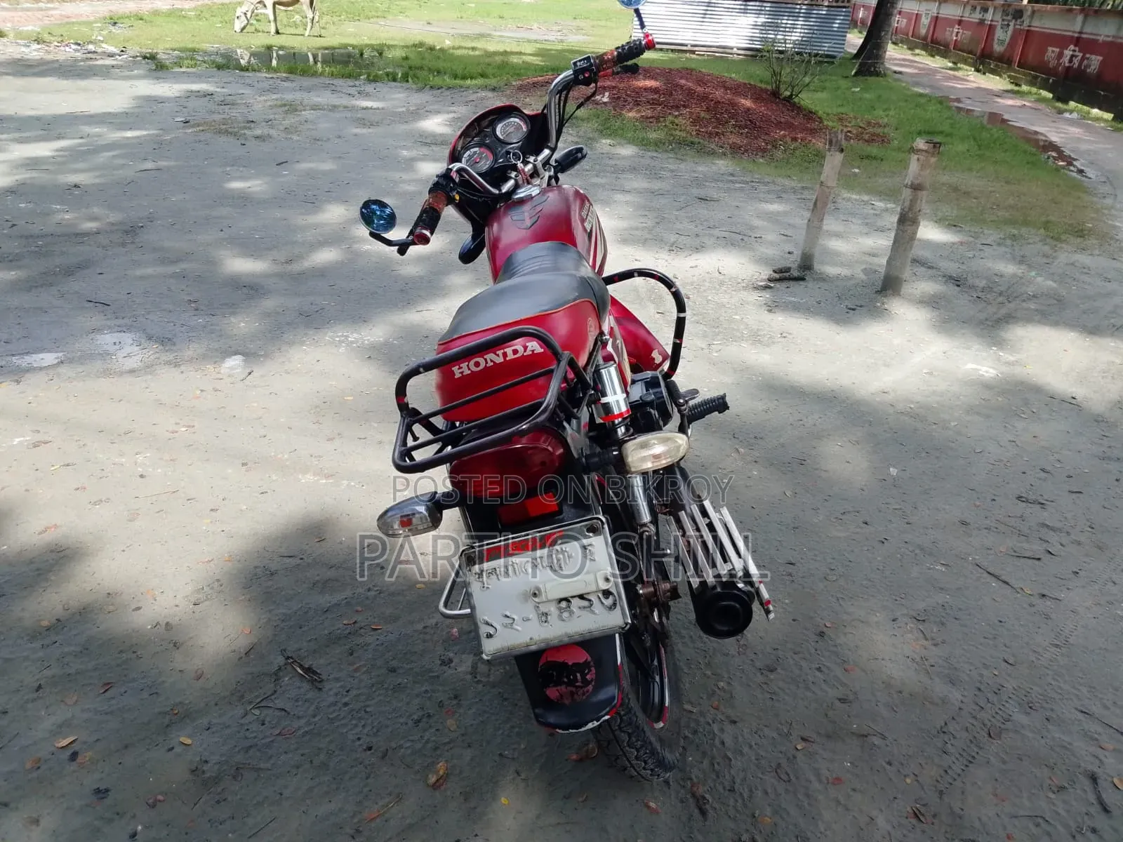 দায়াং আপোলো ২০১৫ লাল