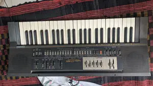 Casio Organ Instrument