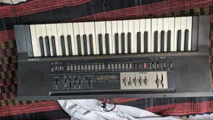 Casio Organ Instrument