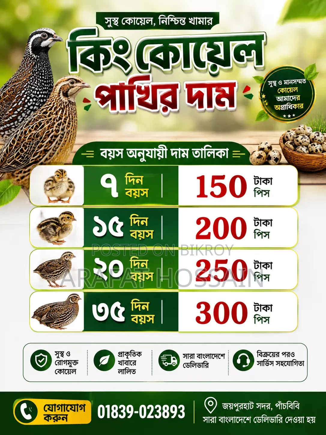 কিং কোয়েল পাখি