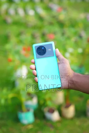 ভিভো এক্স৮০ ১২৮ জিবি ব্লু